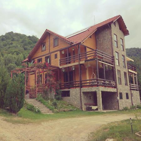 Cabana Soarelui Retezat Nucsoara  Dış mekan fotoğraf