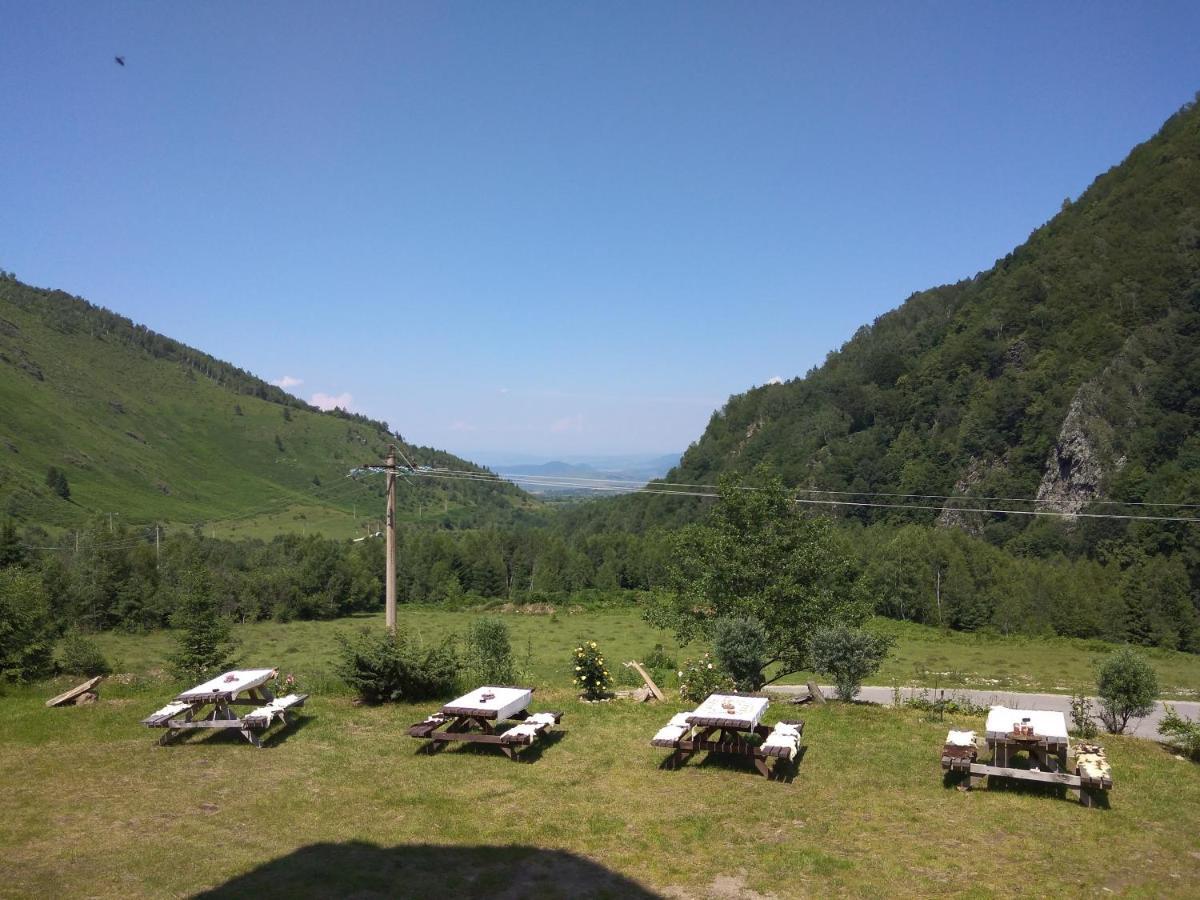 Cabana Soarelui Retezat Nucsoara  Dış mekan fotoğraf