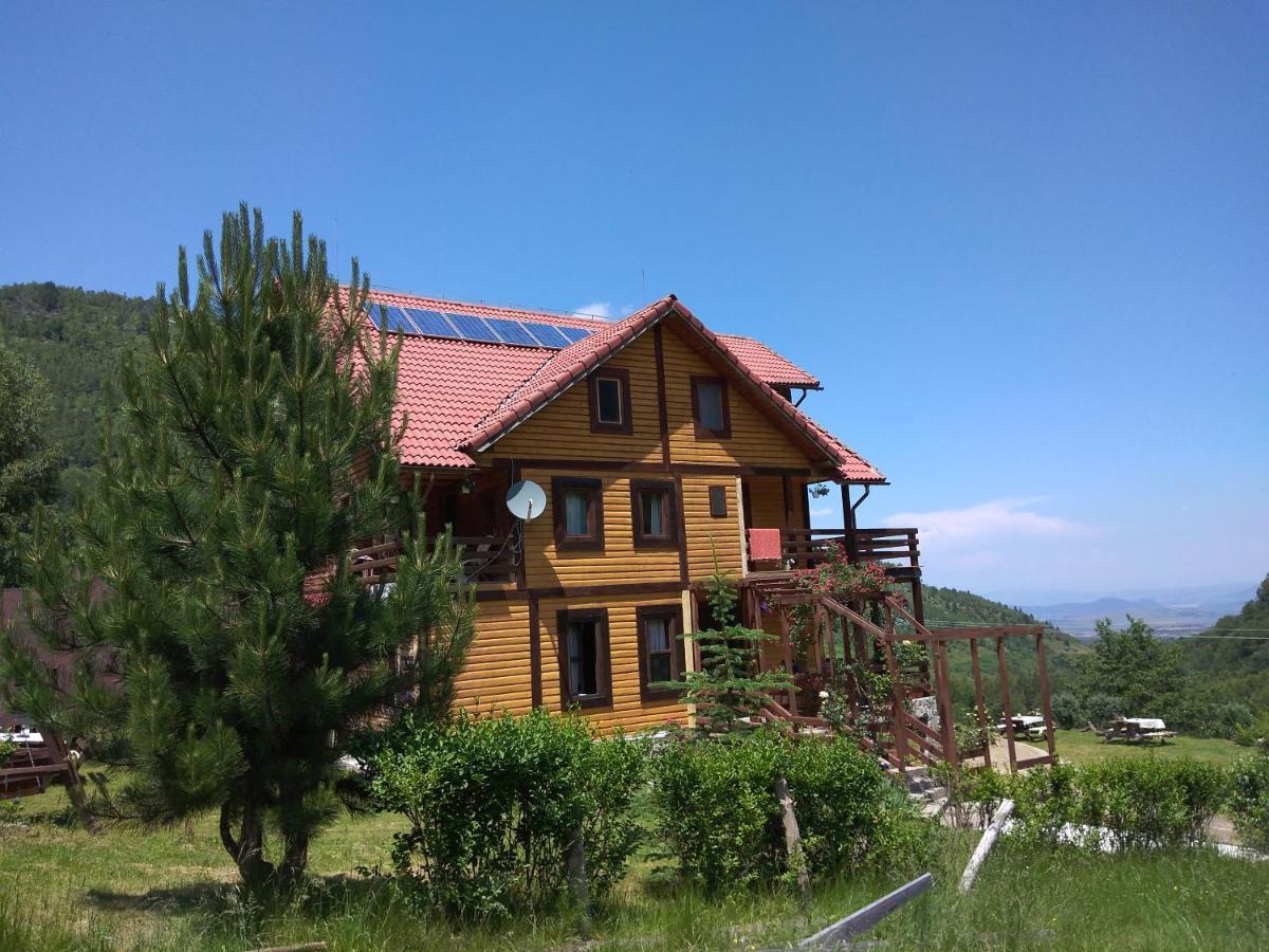 Cabana Soarelui Retezat Nucsoara  Dış mekan fotoğraf