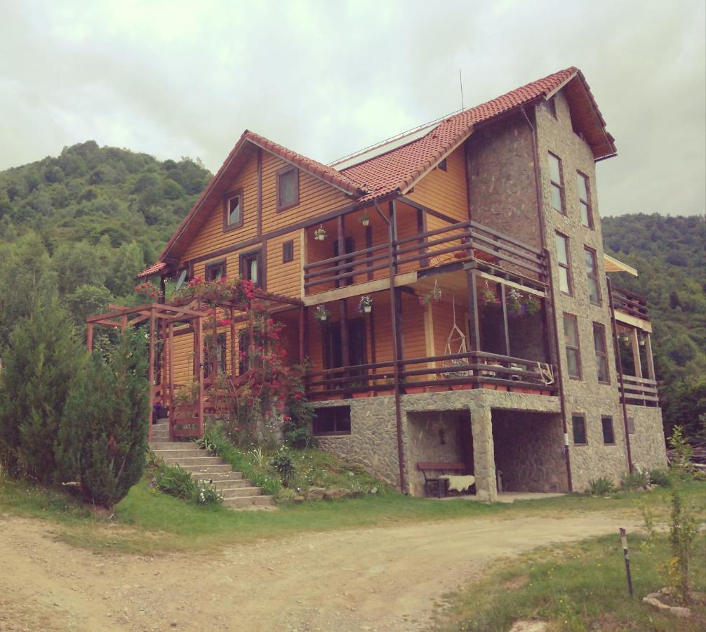 Cabana Soarelui Retezat Nucsoara  Dış mekan fotoğraf