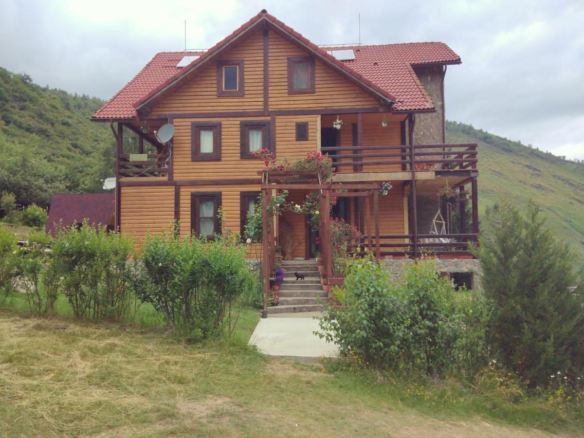 Cabana Soarelui Retezat Nucsoara  Dış mekan fotoğraf